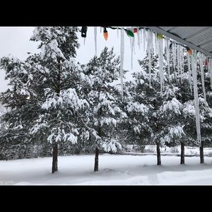 Meet your Posher, Bernadette